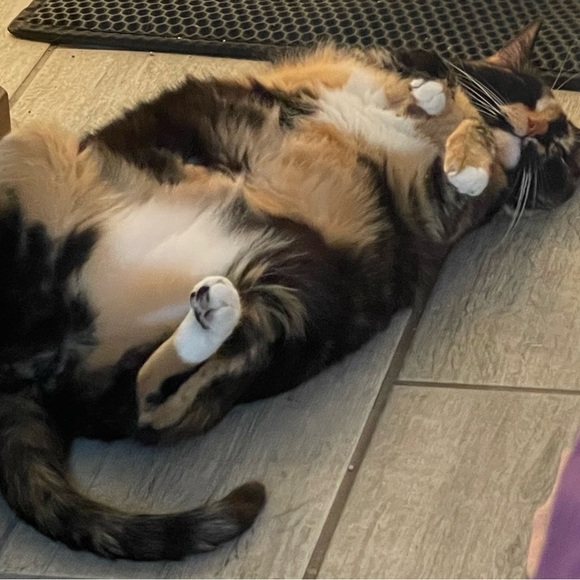 Meet your Posher, Leighann - Picture 1 of 1